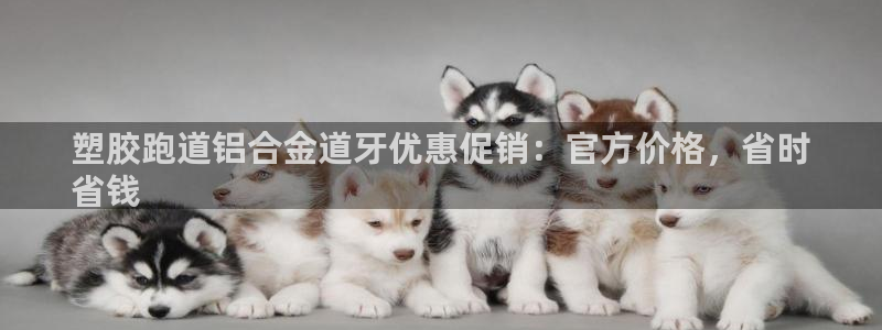 凯时kb88公司简介