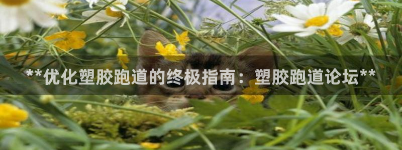 尊龙凯时-人生就是博中国官网：**优化塑胶跑道的终极指南：塑胶跑道论坛**