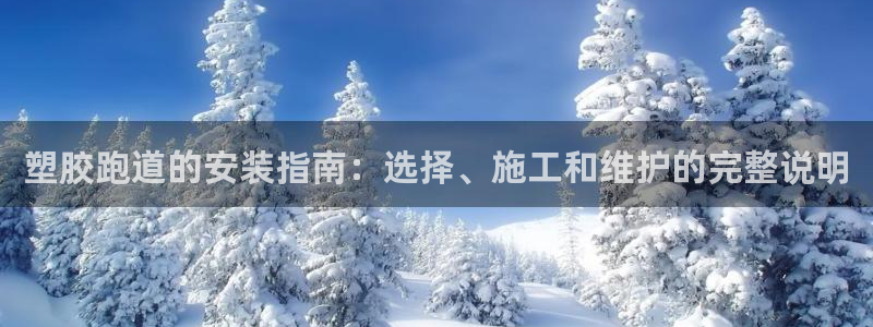 尊龙凯时处理未到账