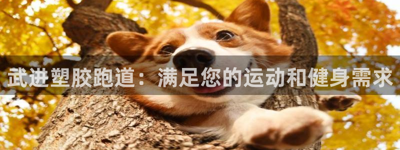 尊龙凯时品牌介绍：武进塑胶跑道：满足您的运动和健身需求