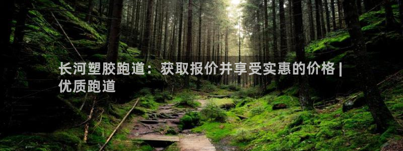 尊龙凯时用户名m：长河塑胶跑道：获取报价并享受实惠的