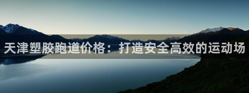 尊龙新版app首页：天津塑胶跑道价格：打造安全高效的运动场