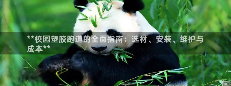 尊龙d88手机app免费下载：**校园塑胶跑道的全面