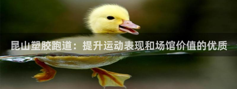 尊龙注册码：昆山塑胶跑道：提升运动表现和场馆价值的优质
