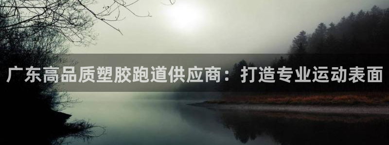 尊龙凯时可以提现吗：广东高品质塑胶跑道供应商：打造专业运动表面