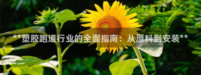 尊龙凯时登陆网址：**塑胶跑道行业的全面指南：从原料
