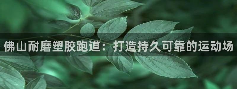 凯时尊龙app国际官方网站