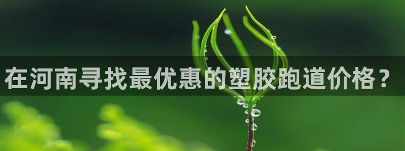 尊龙网页