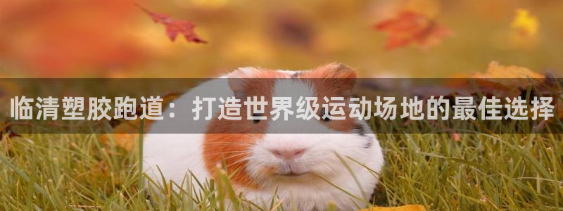 凯时k66会员登录：临清塑胶跑道：打造世界级运动场地的最佳选择