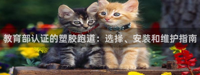 尊龙集团有限公司招聘