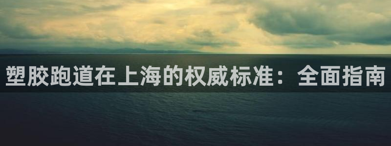 下载凯时AG旗舰厅首页：塑胶跑道在上海的权威标准：全面指南
