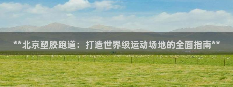尊龙集团有限公司招聘：**北京塑胶跑道：打造世界级运动场地的全面指南**