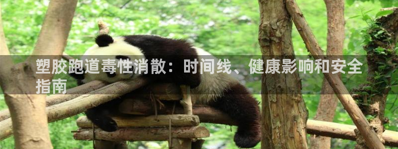 尊龙人生就是博菲律宾台子：塑胶跑道毒性消散：时间线、健康影响和安全
指南