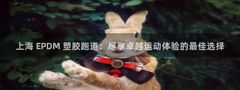 尊龙凯时-人生就是博中国官网最新：上海 EPDM 塑胶跑道：尽享卓越运动体验的最佳选择