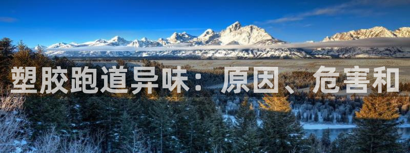 尊龙游戏官方网