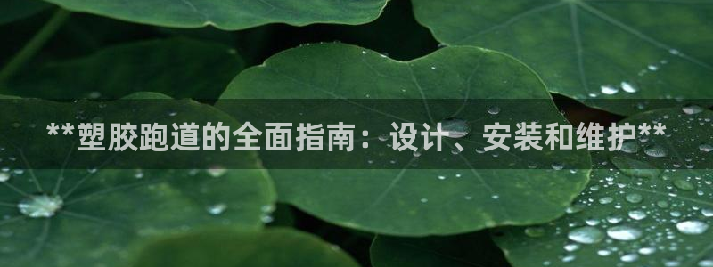 尊龙集团有限公司是国企吗：**塑胶跑道的全面指南：设计、安装和维护**