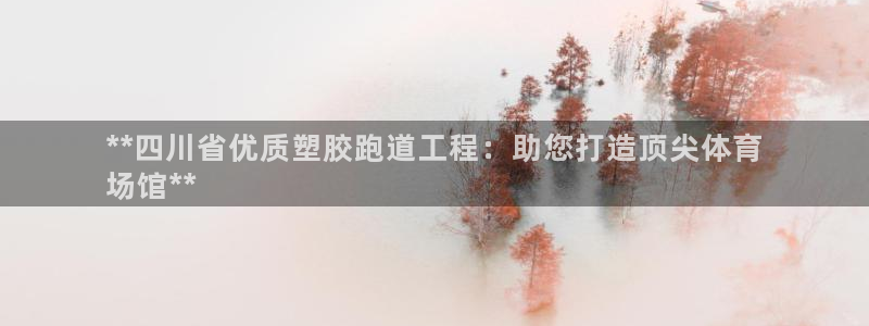 尊龙官网下载：**四川省优质塑胶跑道工程：助您打造顶尖体育
场馆**
