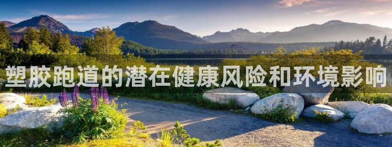 尊龙凯时和九游会哪个平台好一点：塑胶跑道的潜在健康风险和环境影响