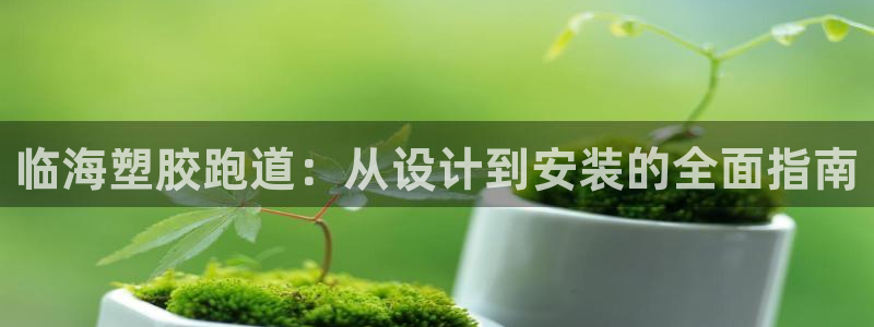 尊龙凯时能做退米么：临海塑胶跑道：从设计到安装的全面指南