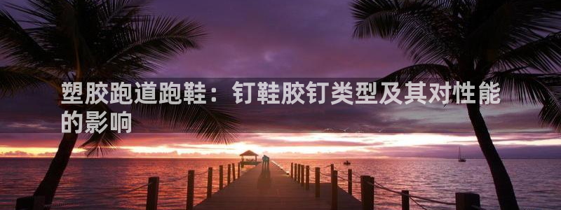 尊龙凯时老板是谁：塑胶跑道跑鞋：钉鞋胶钉类型及其对性能
的影响