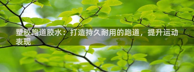 尊龙百度百科：塑胶跑道胶水：打造持久耐用的跑道，提升运动
表现