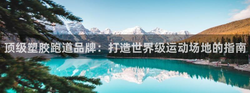 凯时k66官方发布：顶级塑胶跑道品牌：打造世界级运动场地的指南