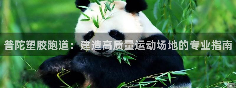 尊龙人生就是博官