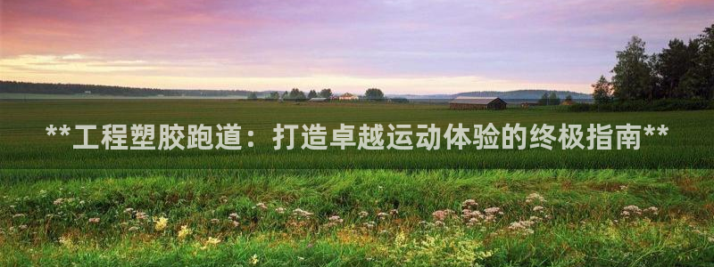 凯时ag旗舰厅：**工程塑胶跑道：打造卓越运动体验的终极指南**