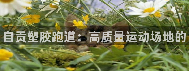 尊龙凯时网站赌愽是真的吗
