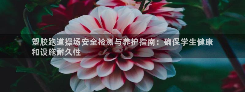 尊龙ag旗舰厅官网登录：塑胶跑道操场安全检测与养护指南：确保学生健康
和设施耐久性