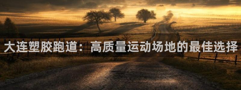 凯时k66会员登录：大连塑胶跑道：高质量运动场地的最佳选择