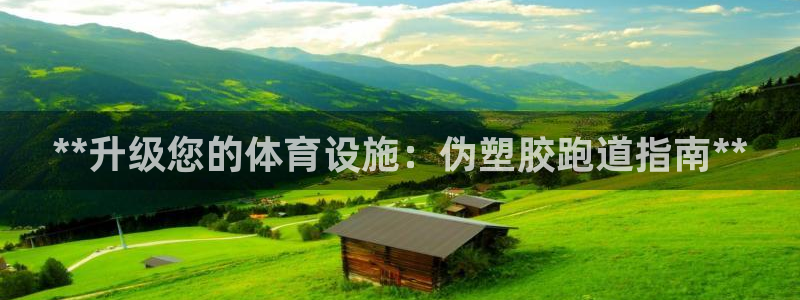 尊龙得过奥斯卡吗：**升级您的体育设施：伪塑胶跑道指南**