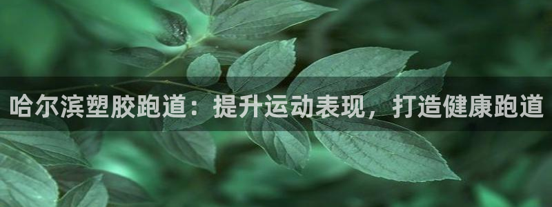 尊龙人生就是博手机版下载：哈尔滨塑胶跑道：提升运动表现，打造健康跑道