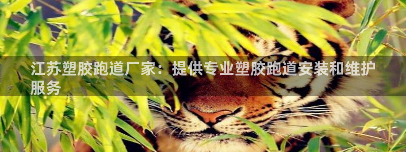 尊龙AG旗舰厅官网：江苏塑胶跑道厂家：提供专业塑胶跑道安装和维护
服务