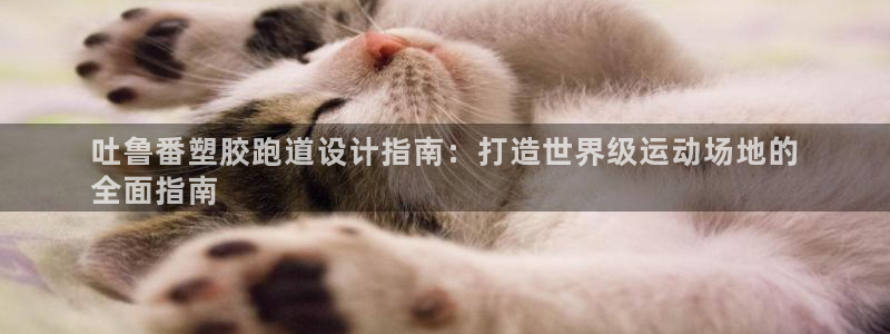 尊龙凯时平台入口：吐鲁番塑胶跑道设计指南：打造世界级运动场地的
全面指南