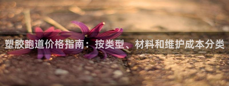 尊龙体育怎么样：塑胶跑道价格指南：按类型、材料和维护成本分类