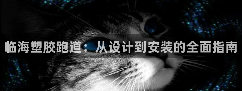 尊龙凯时有没有出不了款的情况：临海塑胶跑道：从设计到安装的全面指南