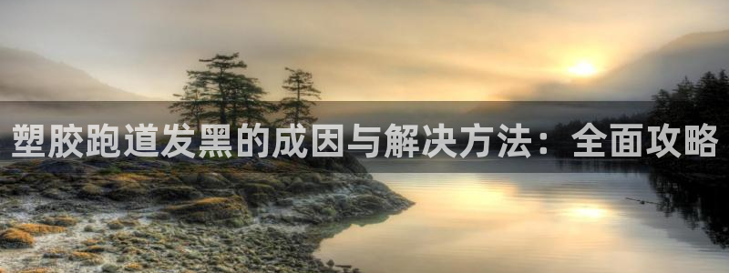 尊龙官网手机版下载：塑胶跑道发黑的成因与解决方法：全面攻略