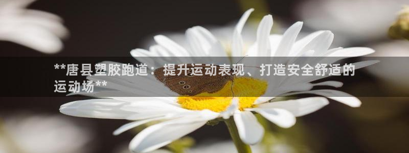 尊龙凯时官网平台：**唐县塑胶跑道：提升运动表现、打造安全舒适的
运动场**