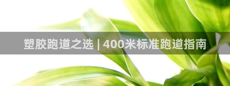 凯时k66会员登录：塑胶跑道之选 | 400米标准跑