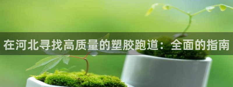 尊龙凯时提款一直审核中：在河北寻找高质量的塑胶跑道：全面的指南