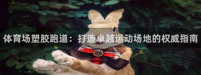 尊龙凯时不朽情缘：体育场塑胶跑道：打造卓越运动场地的