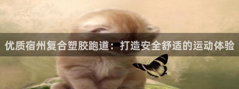 尊龙凯时有封银行卡的吗：优质宿州复合塑胶跑道：打造安全舒适的运动体验