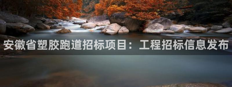 尊龙ag旗舰厅登录 租车app下载：安徽省塑胶跑道招标项目：工程招标信息发布
