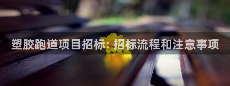尊龙网站下分慢：塑胶跑道项目招标: 招标流程和注意事项