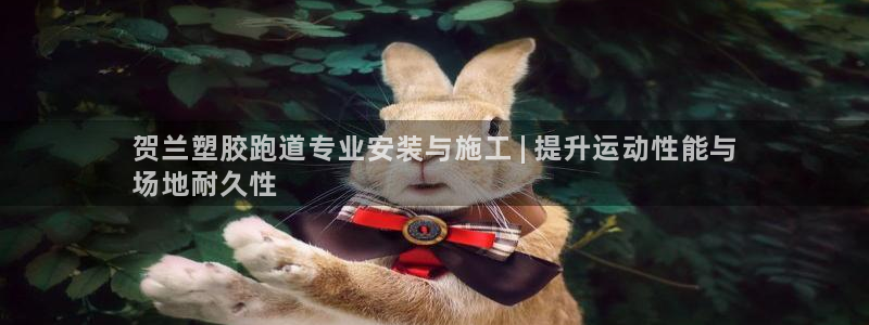 尊龙凯时网站登录：贺兰塑胶跑道专业安装与施工 | 提升运动性能与
场地耐久性