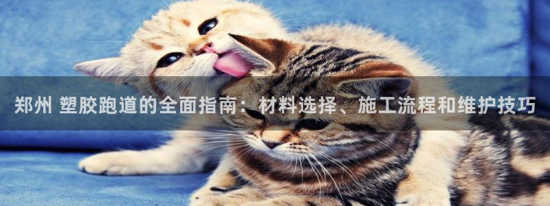 尊龙凯时平台正规吗：郑州 塑胶跑道的全面指南：材料选