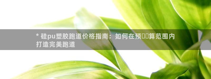 尊龙凯时不给提现怎么办：* 硅pu塑胶跑道价格指南：
