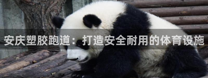 尊龙ag旗舰厅官网登录：安庆塑胶跑道：打造安全耐用的体育设施