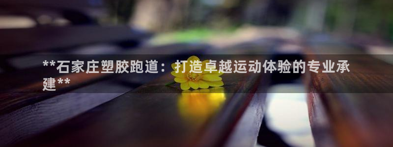 凯时kb88会员登录：**石家庄塑胶跑道：打造卓越运动体验的专业承
建**